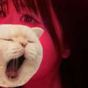 ヒメ日記 2025/06/24 20:00 投稿 ひより べっぴんコレクション