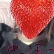 ヒメ日記 2025/11/01 13:06 投稿 うた 熟女＆人妻＆ぽっちゃり倶楽部