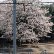 ヒメ日記 2026/03/29 16:09 投稿 とわ NEO不夜城