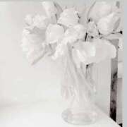 ヒメ日記 2025/06/22 20:35 投稿 あんり とある風俗店♡やりすぎさーくる新宿大久保店♡で色んな無料オプションしてみました