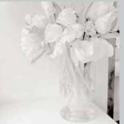 ヒメ日記 2025/07/05 14:48 投稿 あんり とある風俗店♡やりすぎさーくる新宿大久保店♡で色んな無料オプションしてみました