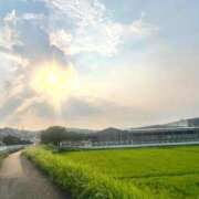 ヒメ日記 2025/08/20 16:15 投稿 れな MORE