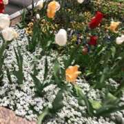 ヒメ日記 2025/09/24 08:05 投稿 れな MORE