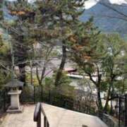 れな 🦪🤤✨ MORE