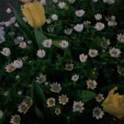 れな 【お礼写メ日記】 MORE