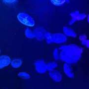 ヒメ日記 2026/06/11 08:25 投稿 れな MORE
