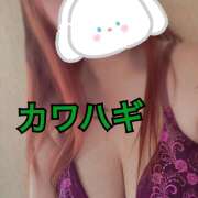 ヒメ日記 2025/06/08 19:21 投稿 カワハギ(皮剥 ) 女の子市場　川越店