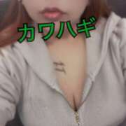 ヒメ日記 2025/08/24 14:08 投稿 カワハギ(皮剥 ) 女の子市場　川越店