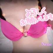 ヒメ日記 2025/05/27 05:33 投稿 ネネ 煌-kirameki-