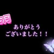 ヒメ日記 2025/05/30 14:52 投稿 ネネ 煌-kirameki-