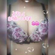 ヒメ日記 2025/06/05 05:33 投稿 ネネ 煌-kirameki-