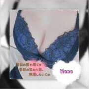 ヒメ日記 2025/06/27 17:22 投稿 ネネ 煌-kirameki-