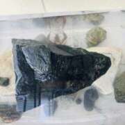 ヒメ日記 2025/07/04 07:30 投稿 ネネ 煌-kirameki-