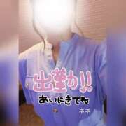 ヒメ日記 2025/07/16 05:38 投稿 ネネ 煌-kirameki-