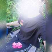 ヒメ日記 2025/07/31 09:03 投稿 ネネ 煌-kirameki-