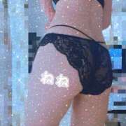 ヒメ日記 2025/08/21 17:54 投稿 ネネ 煌-kirameki-