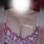 ヒメ日記 2025/08/25 06:53 投稿 ネネ 煌-kirameki-