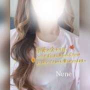 ヒメ日記 2025/09/30 05:58 投稿 ネネ 煌-kirameki-