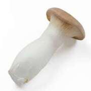 ヒメ日記 2025/12/17 16:40 投稿 ネネ 煌-kirameki-