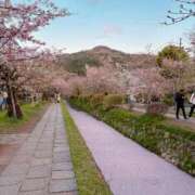 ヒメ日記 2026/04/11 20:19 投稿 百合音 大阪回春性感マッサージ倶楽部