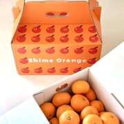 ヒメ日記 2026/01/13 18:42 投稿 もか 熟女の風俗最終章 新宿店