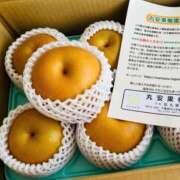 ヒメ日記 2026/09/01 16:32 投稿 もか 熟女の風俗最終章 新宿店