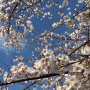 ヒメ日記 2026/03/30 18:33 投稿 もか 熟女の風俗最終章 池袋店