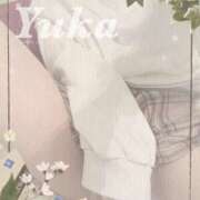 ヒメ日記 2025/05/29 09:28 投稿 ゆか 和楽(わらく)