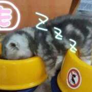 ヒメ日記 2025/06/05 02:48 投稿 もなこ 熟女の風俗最終章 高崎店