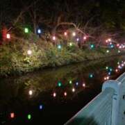 ヒメ日記 2025/11/02 03:38 投稿 もなこ 熟女の風俗最終章 高崎店