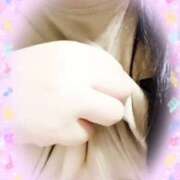 ヒメ日記 2025/08/12 22:12 投稿 岡野美紀 五十路マダム愛されたい熟女たち 津山店