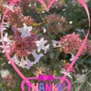 ヒメ日記 2025/11/23 10:56 投稿 岡野美紀 五十路マダム愛されたい熟女たち 津山店