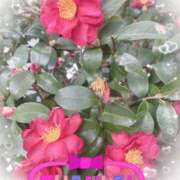 ヒメ日記 2026/02/07 12:58 投稿 岡野美紀 五十路マダム愛されたい熟女たち 津山店