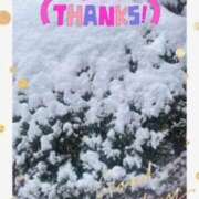 ヒメ日記 2026/02/08 21:58 投稿 岡野美紀 五十路マダム愛されたい熟女たち 津山店