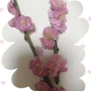 ヒメ日記 2026/03/08 00:16 投稿 岡野美紀 五十路マダム愛されたい熟女たち 津山店