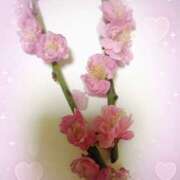 ヒメ日記 2026/03/08 09:02 投稿 岡野美紀 五十路マダム愛されたい熟女たち 津山店