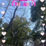 ヒメ日記 2026/03/28 15:40 投稿 岡野美紀 五十路マダム愛されたい熟女たち 津山店