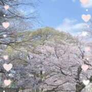 ヒメ日記 2026/04/05 08:26 投稿 岡野美紀 五十路マダム愛されたい熟女たち 津山店