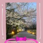 ヒメ日記 2026/04/05 18:40 投稿 岡野美紀 五十路マダム愛されたい熟女たち 津山店