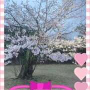 ヒメ日記 2026/04/10 18:12 投稿 岡野美紀 五十路マダム愛されたい熟女たち 津山店