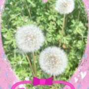 ヒメ日記 2026/06/05 14:00 投稿 岡野美紀 五十路マダム愛されたい熟女たち 津山店