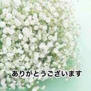 つきの 今日も 熟女総本店 日本橋ミナミエリア店