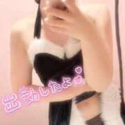 ヒメ日記 2025/12/25 06:05 投稿 さき 若葉