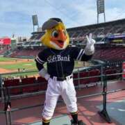 ヒメ日記 2025/08/08 19:28 投稿 東雲かれん 奴隷志願！変態調教飼育クラブ梅田店