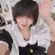 ヒメ日記 2025/06/08 16:34 投稿 こと エデン