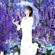 ヒメ日記 2026/04/15 09:01 投稿 こと エデン