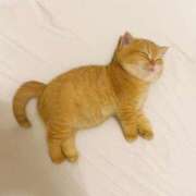 ヒメ日記 2025/07/24 19:02 投稿 こはね エデン