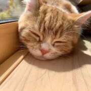 こはね 【10月ラストの出勤予定日です！】 エデン