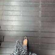 ヒメ日記 2025/06/04 12:17 投稿 平沢(ひらさわ) 人妻出逢い会 百合の園 山の手本店