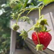 ヒメ日記 2025/06/11 10:09 投稿 平沢(ひらさわ) 人妻出逢い会 百合の園 山の手本店